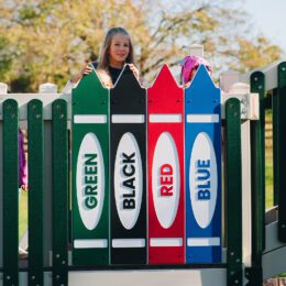 This image shows our color panel on our King Swings commercial playground.
