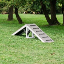 This image shows our commercial dog park ramp.