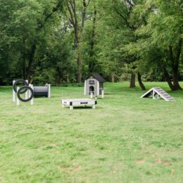 This image shows our commercial dog park A.